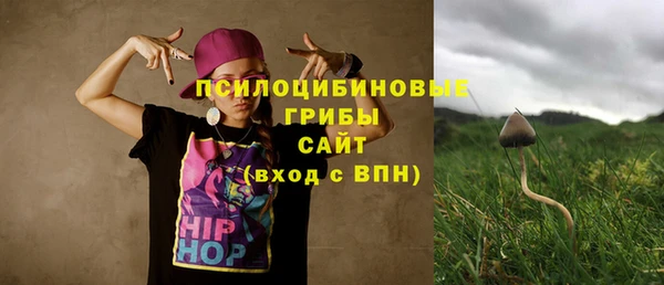 тгк Медногорск