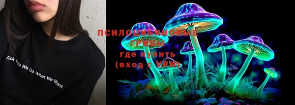тгк Медногорск