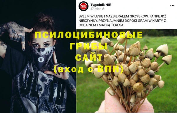 гидропоника Медвежьегорск