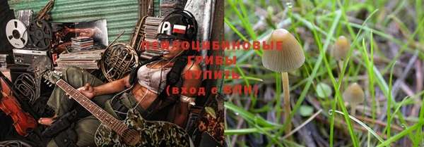 ПСИЛОЦИБИНОВЫЕ ГРИБЫ Мегион