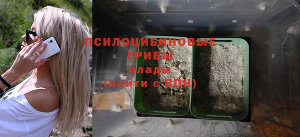 ПСИЛОЦИБИНОВЫЕ ГРИБЫ Мегион