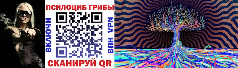 Купить  Урюпинск  Псилоцибиновые грибы прущие грибы 